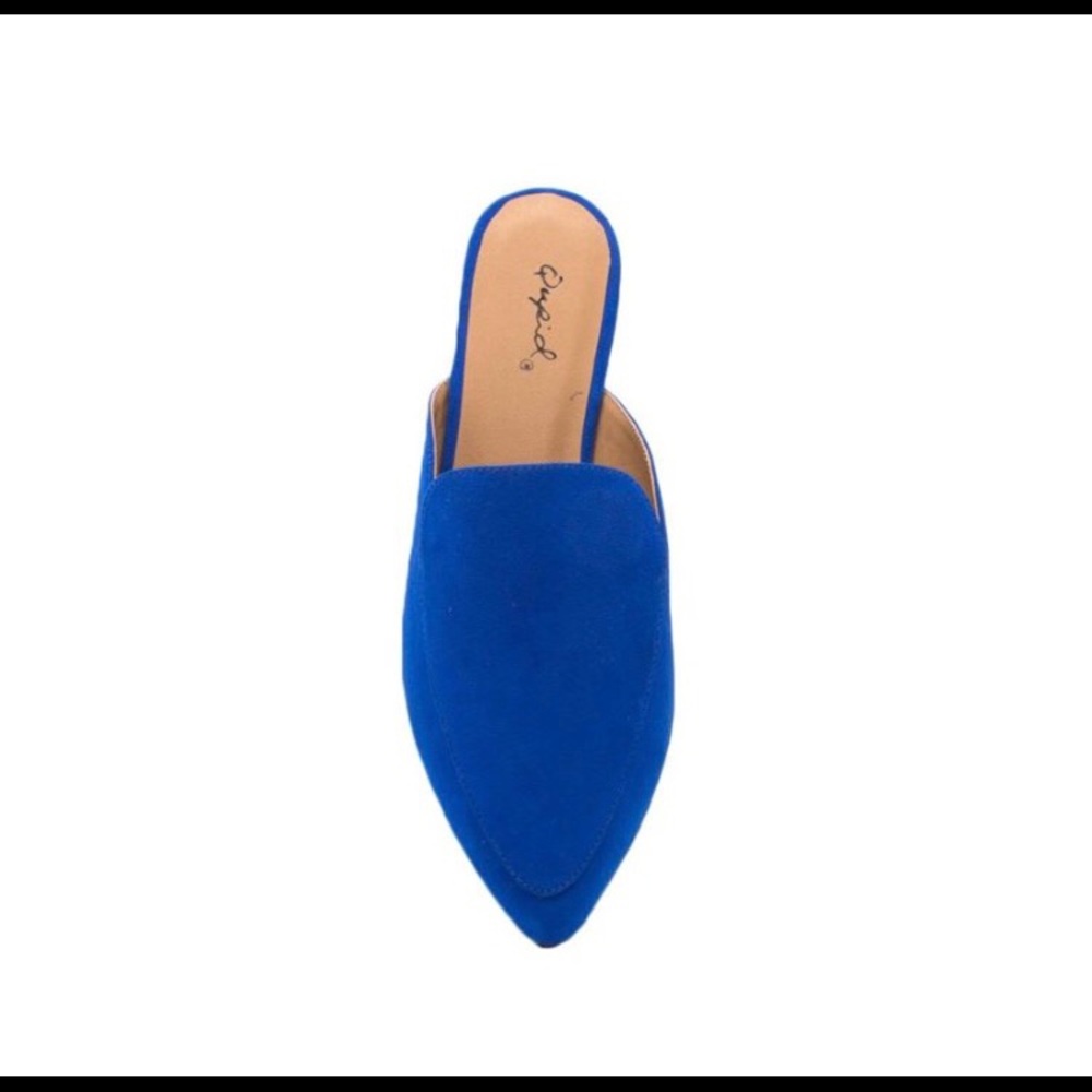 Colbolt Blue slide Mule